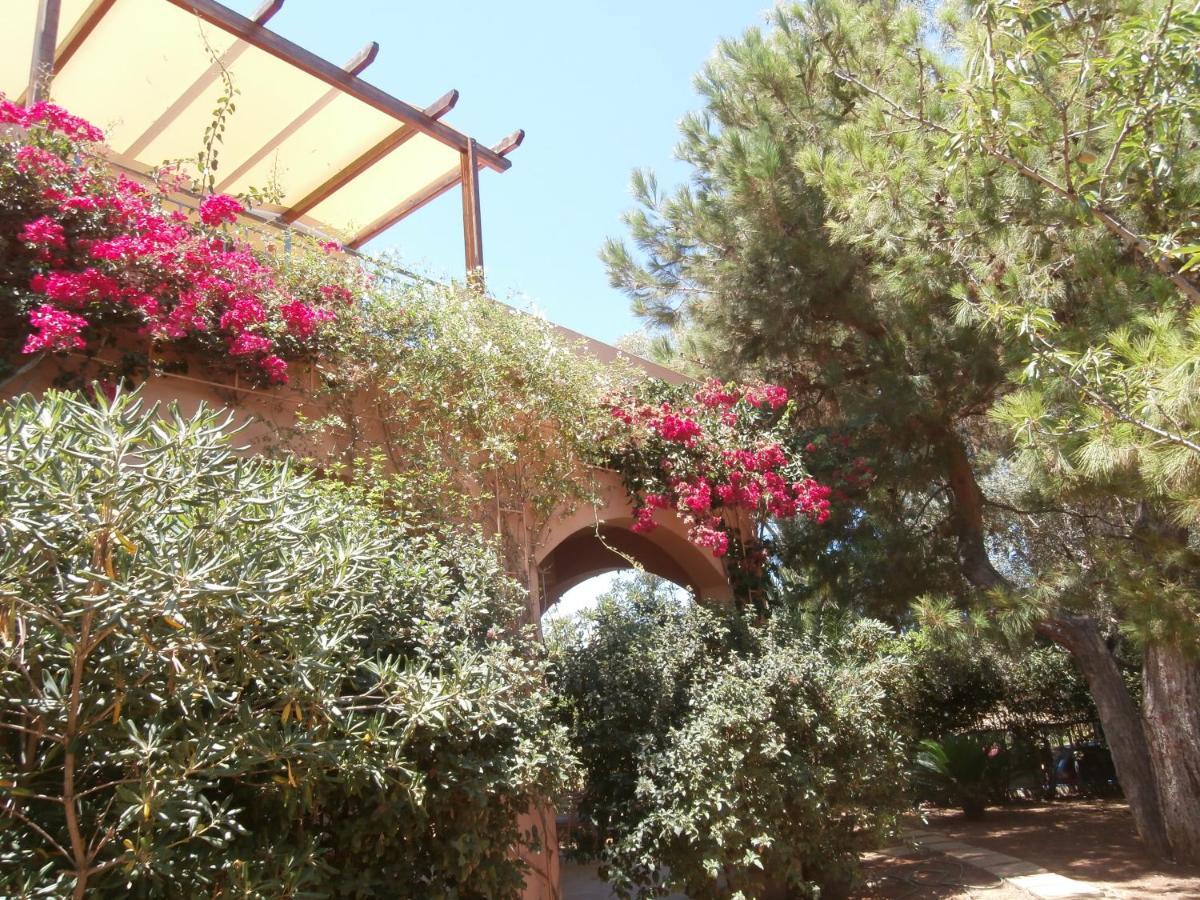 Glaros Home Kato Daratso Exterior photo