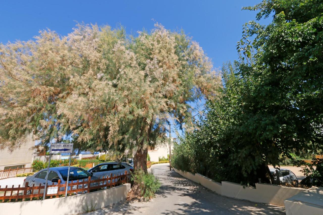 Glaros Home Kato Daratso Exterior photo