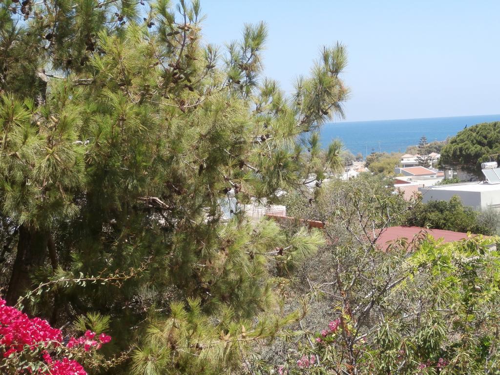 Glaros Home Kato Daratso Exterior photo